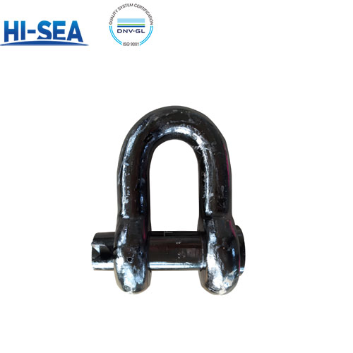 Forelock Shackle